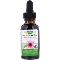 Echinacea, Alcohol Free 99.9%, 1 fl oz (30 ml)